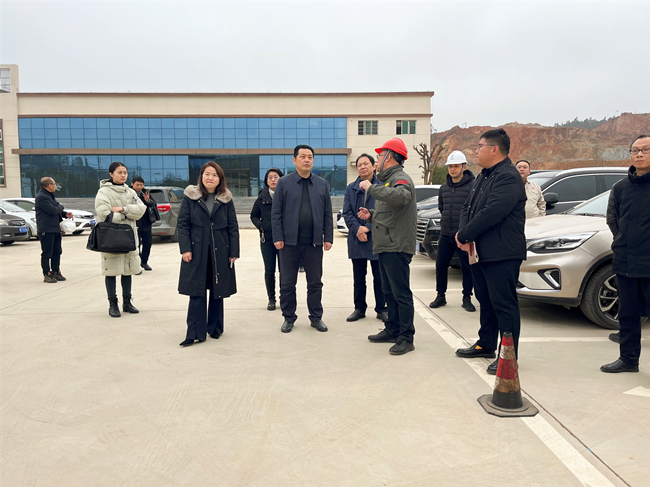 江西省项目办领导调研公司宜黄县生物质热电联产项目-附图1.jpg